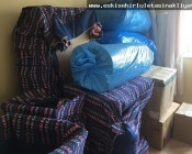 Lületaşı Nakliyat
